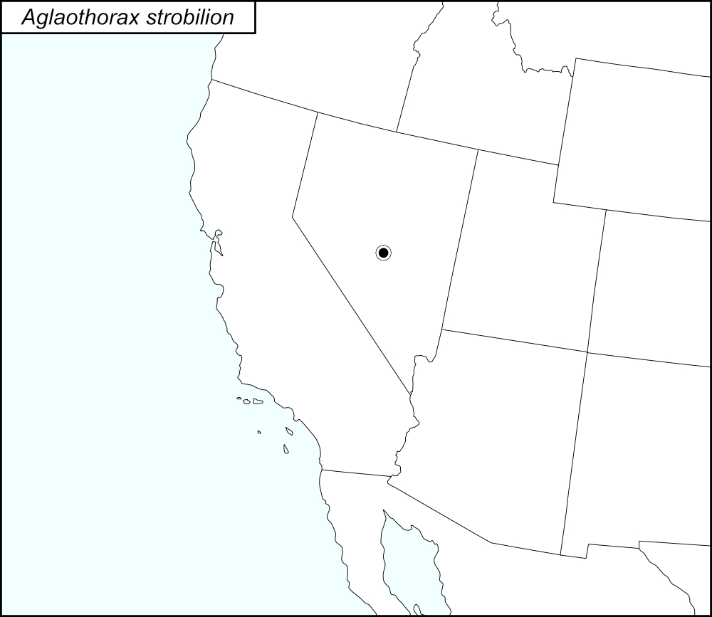 distribution map for Aglaothorax strobilion