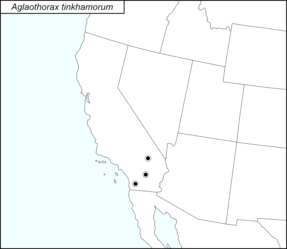 distribution map for Aglaothorax tinkhamorum