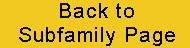link back to subfamily page
