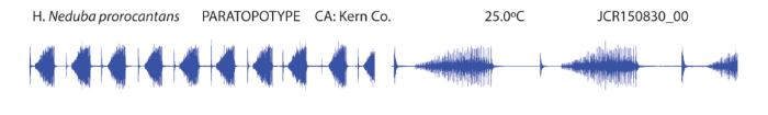 waveform