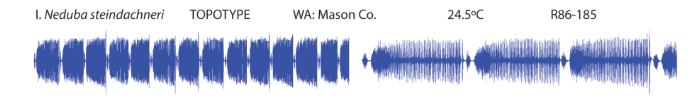 waveform