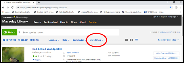 image from MLNS web site