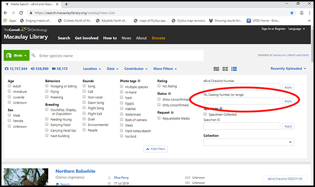 image from MLNS web site