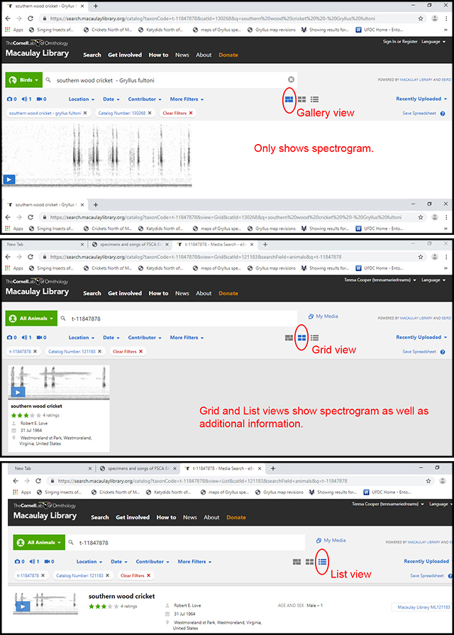 image from MLNS web site